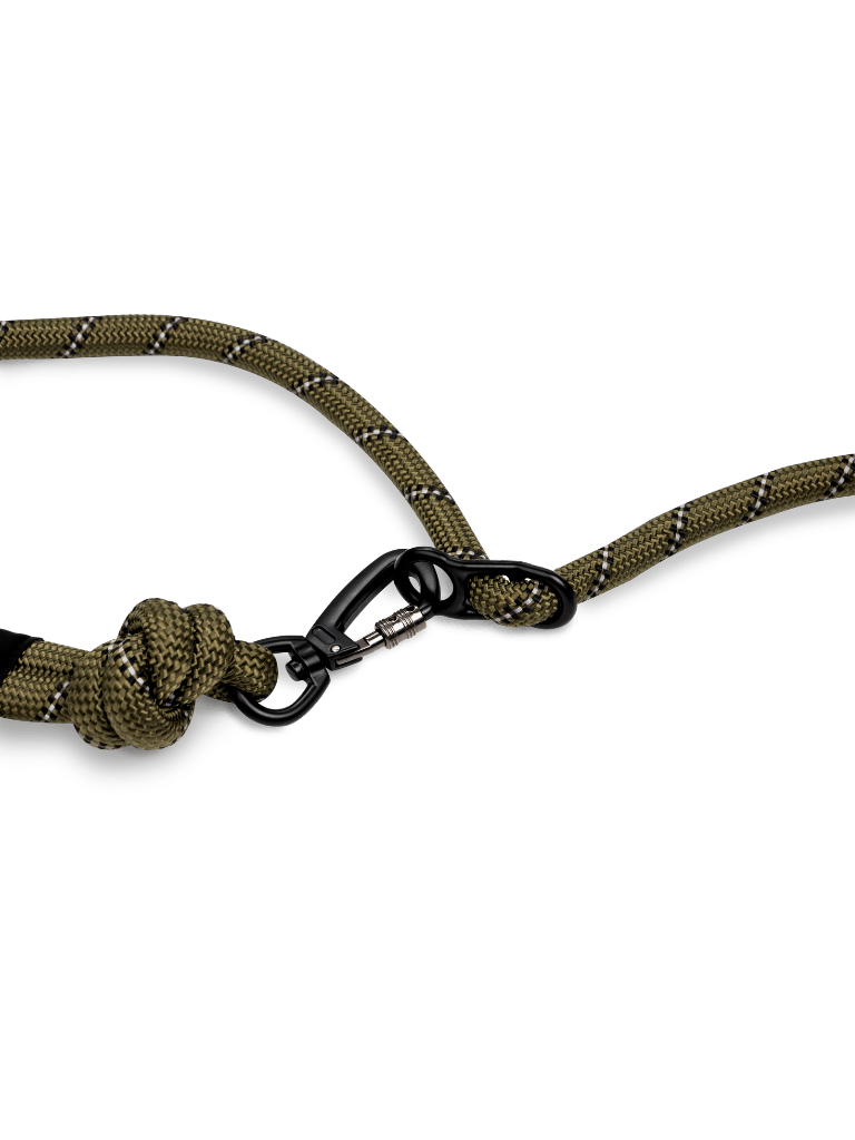 Army Green Running Hands-Free Dog Leash