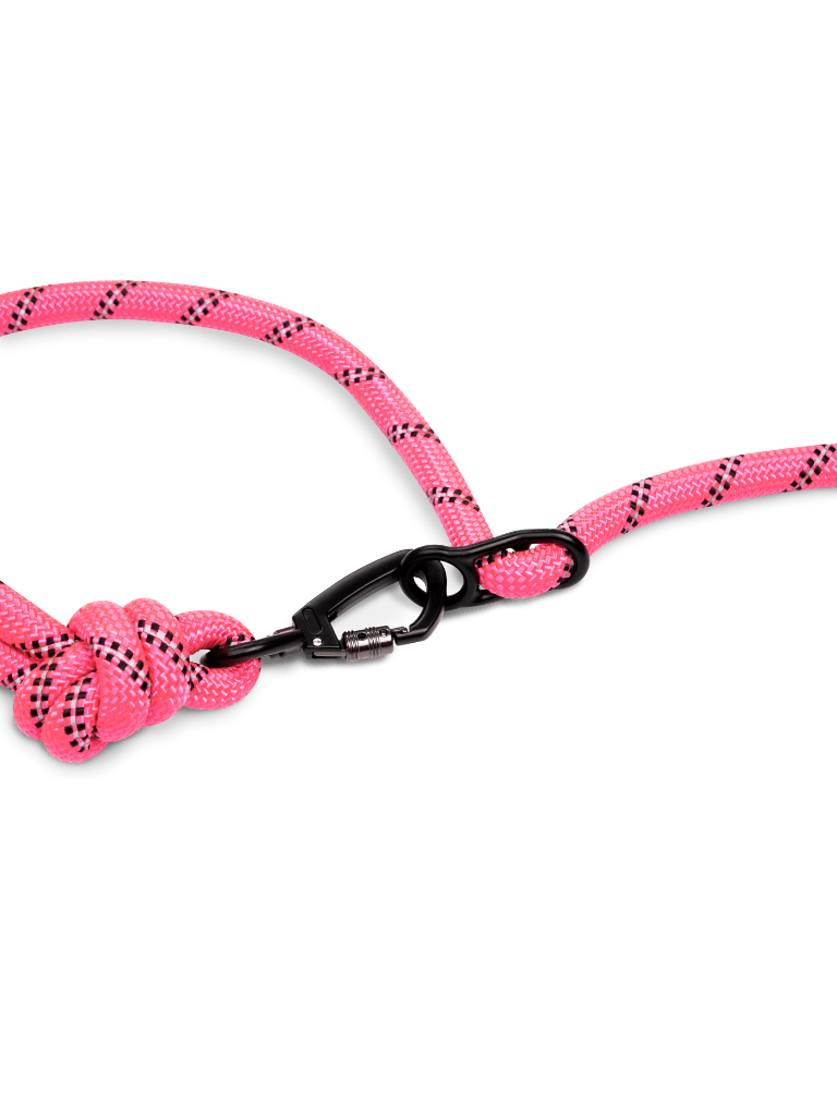 Retro Pink Running Hands-Free Dog Leash