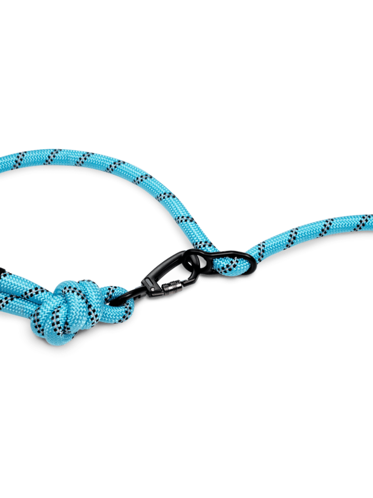 Aqua Blue Running Hands-Free Dog Leash