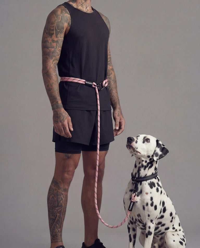 Rove Hands Free Leash in Pastel Pink Leash – Front View Runners Hands Free Dog Leashes – Rove Hands Free Leash in Pastel Pink Leash – Front View | Runners Athletics