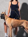 Army Green Running Hands-Free Dog Leash