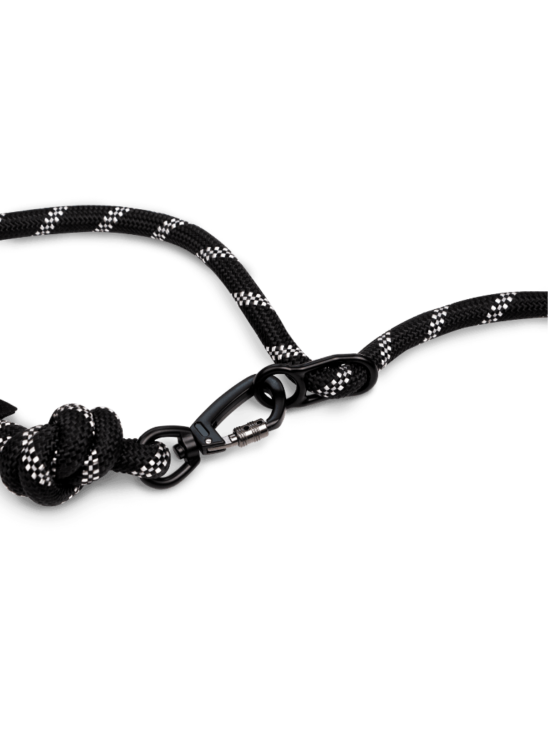 Blackout Running Hands-Free Dog Leash - Runner's Athletics