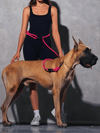 Neon Pink Runners Hands-Free Dog Leash