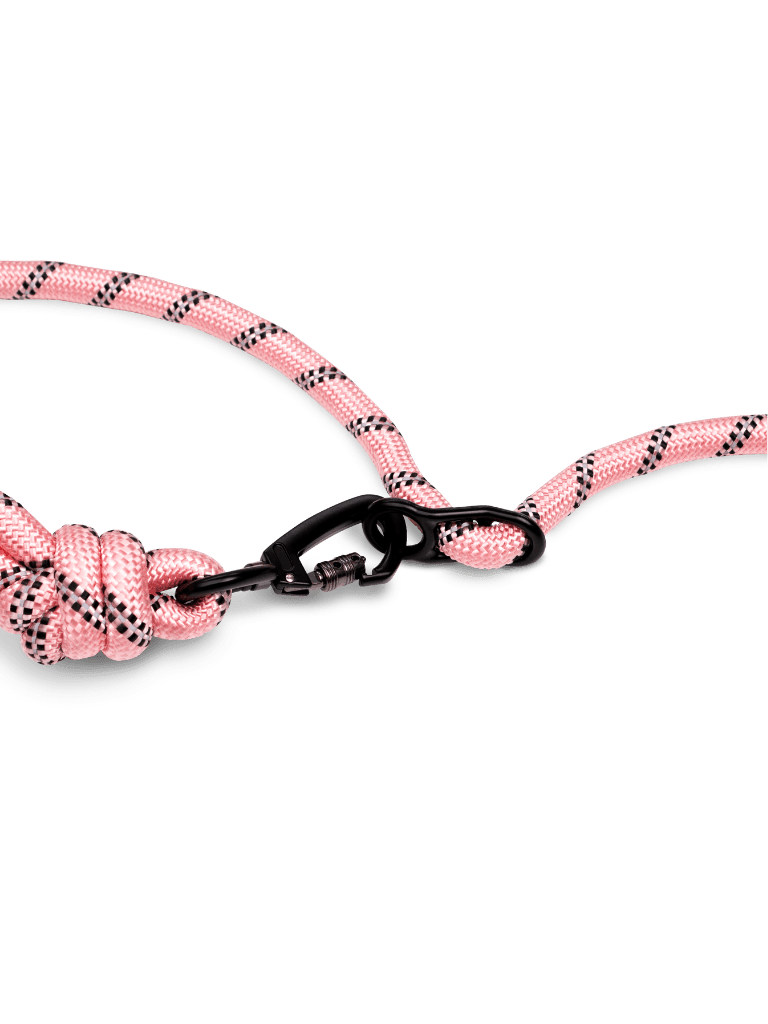 Pastel Pink Running Hands-Free Dog Leash - Runner's Athletics