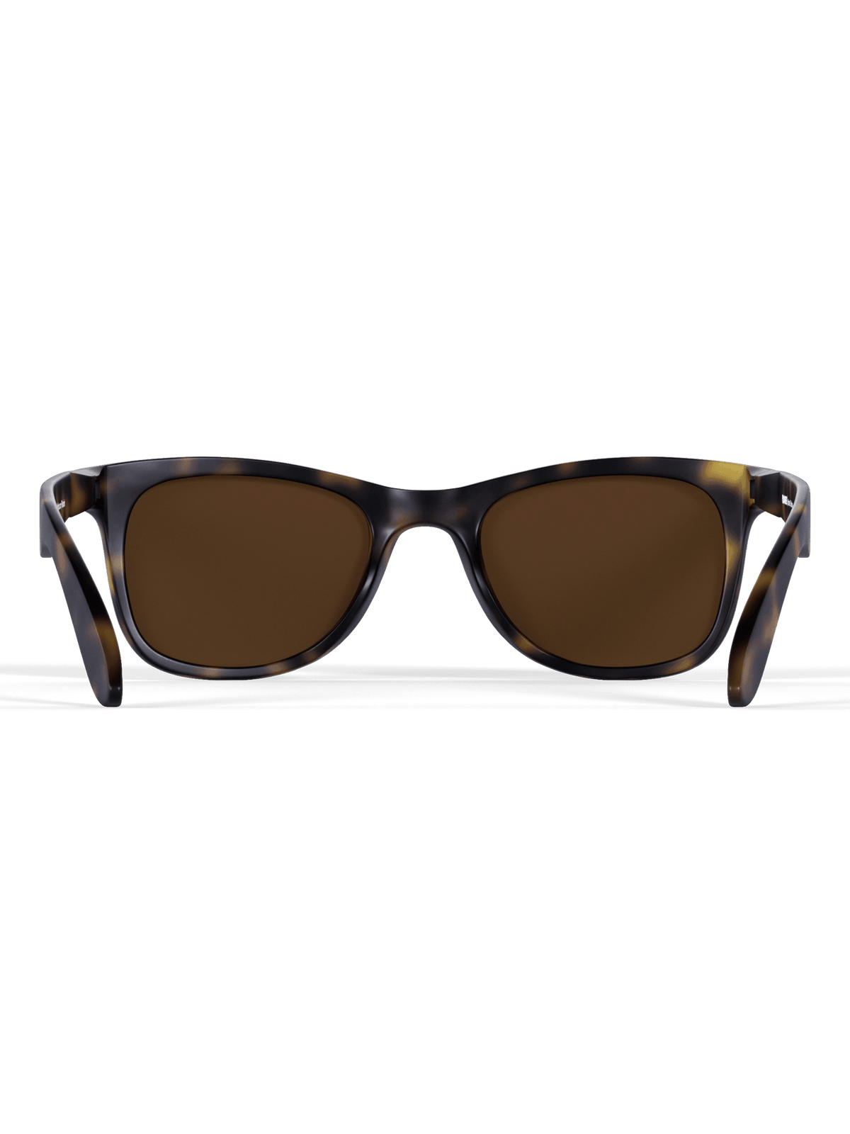 Tortoise Sprinters - Runner's Athletics