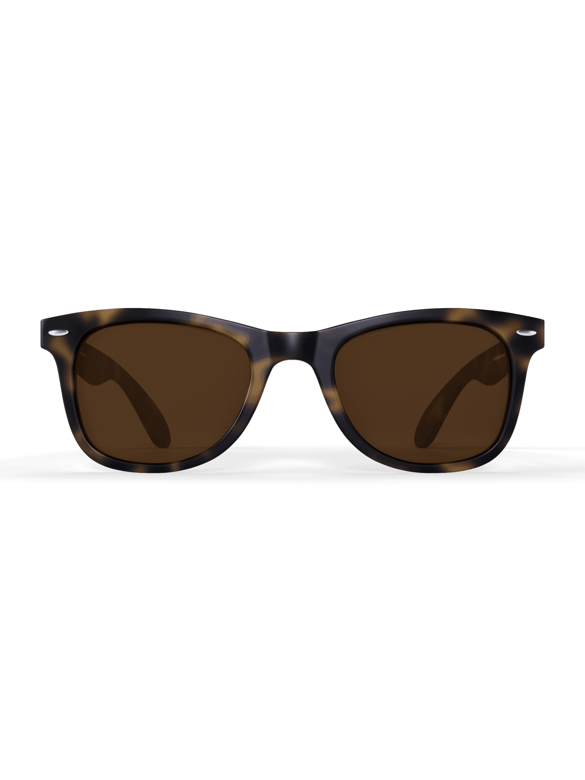 Tortoise Sprinters - Runner's Athletics